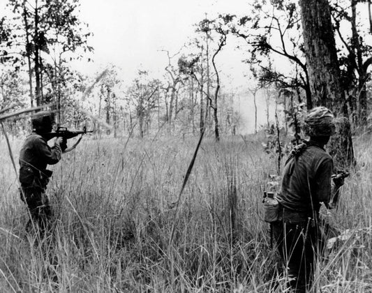 1st Cavalry Division soldiers armed with XM16E1 rifles advancing through scrub at Landing Zone X-Ray during the Battle of Ia Drang in November 1965